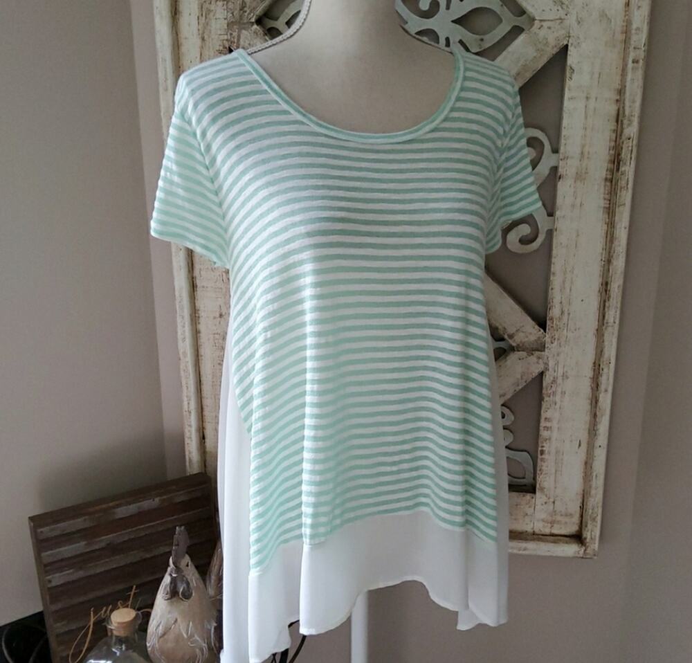 Francesca's Collections Women's Short Sleeve Sheer Ruffle Hem Tunic Top Green